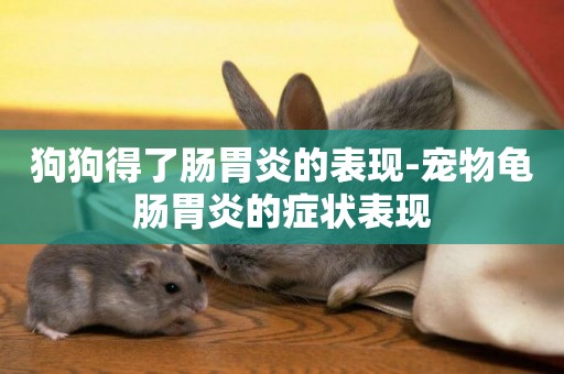 狗狗得了腸胃炎的表現-寵物龜腸胃炎的癥狀表現
