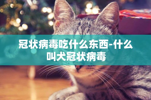冠狀病毒吃什么東西-什么叫犬冠狀病毒