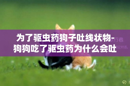 為了驅蟲藥狗子吐線狀物-狗狗吃了驅蟲藥為什么會吐