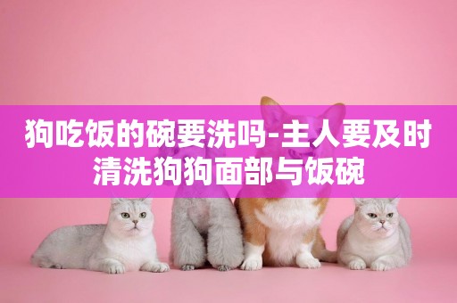 狗吃飯的碗要洗嗎-主人要及時清洗狗狗面部與飯碗