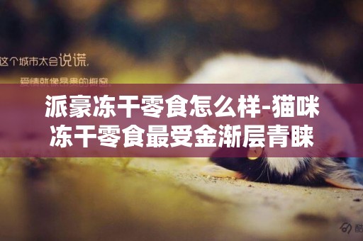 派豪凍干零食怎么樣-貓咪凍干零食最受金漸層青睞