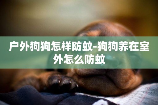 戶外狗狗怎樣防蚊-狗狗養在室外怎么防蚊
