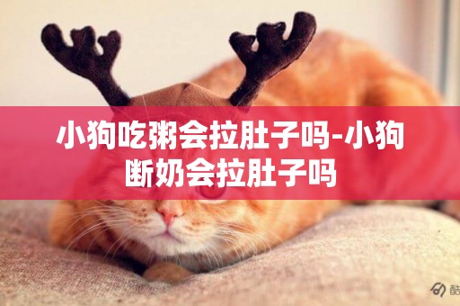 小狗吃粥會拉肚子嗎-小狗斷奶會拉肚子嗎