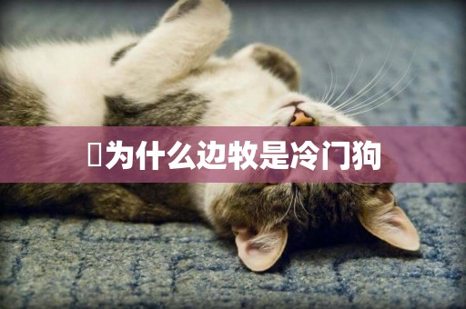 ?為什么邊牧是冷門狗 ?為什么邊牧是冷門狗