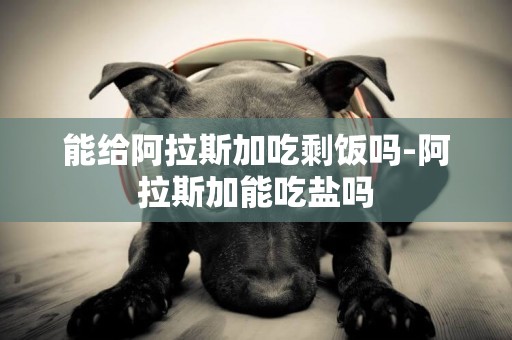 能給阿拉斯加吃剩飯嗎-阿拉斯加能吃鹽嗎