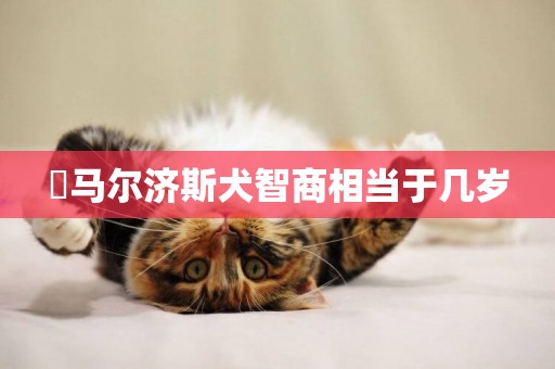 ?馬爾濟斯犬智商相當于幾歲