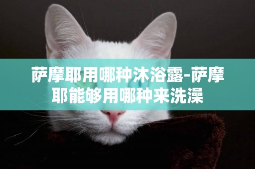 薩摩耶用哪種沐浴露-薩摩耶能夠用哪種來洗澡