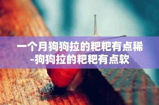一個月狗狗拉的粑粑有點稀-狗狗拉的粑粑有點軟