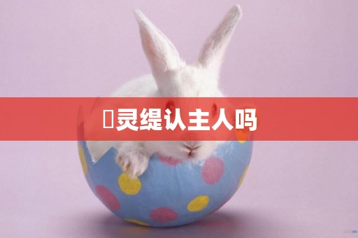 ?靈緹認主人嗎