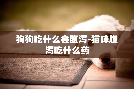 狗狗吃什么會腹瀉-貓咪腹瀉吃什么藥