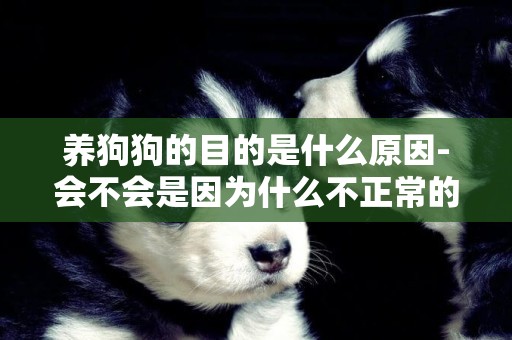養狗狗的目的是什么原因-會不會是因為什么不正常的原因