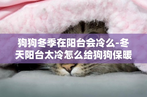 狗狗冬季在陽臺會冷么-冬天陽臺太冷怎么給狗狗保暖