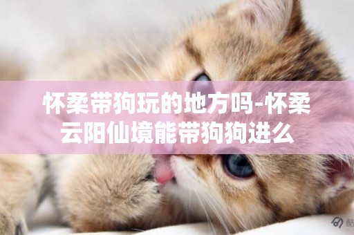 懷柔帶狗玩的地方嗎-懷柔云陽仙境能帶狗狗進么