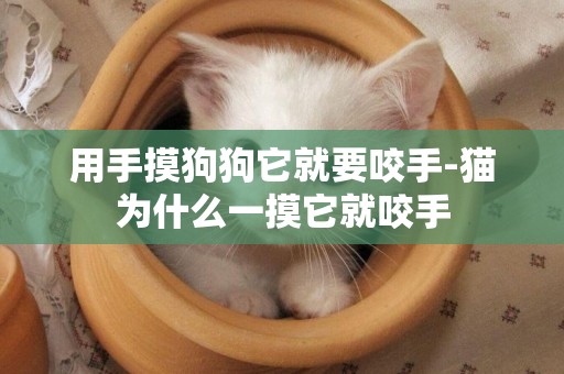 用手摸狗狗它就要咬手-貓為什么一摸它就咬手