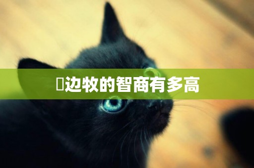 ?邊牧的智商有多高