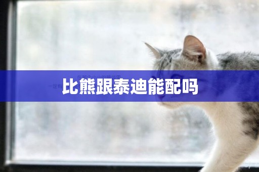 比熊跟泰迪能配嗎