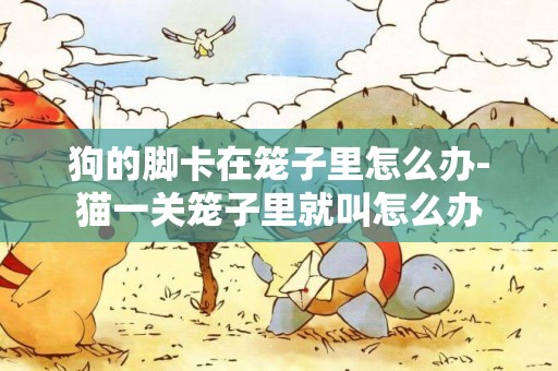 狗的腳卡在籠子里怎么辦-貓一關籠子里就叫怎么辦