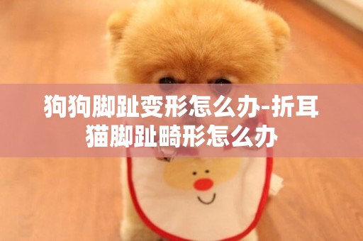 狗狗腳趾變形怎么辦-折耳貓腳趾畸形怎么辦