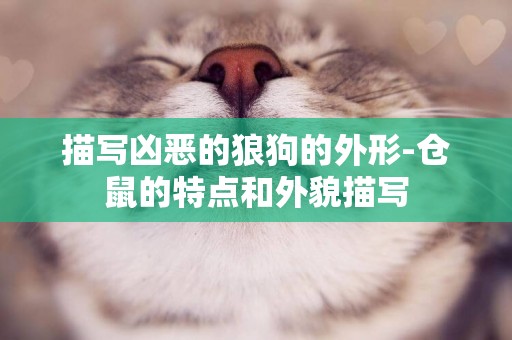 描寫兇惡的狼狗的外形-倉鼠的特點和外貌描寫