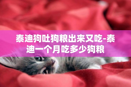 泰迪狗吐狗糧出來又吃-泰迪一個月吃多少狗糧
