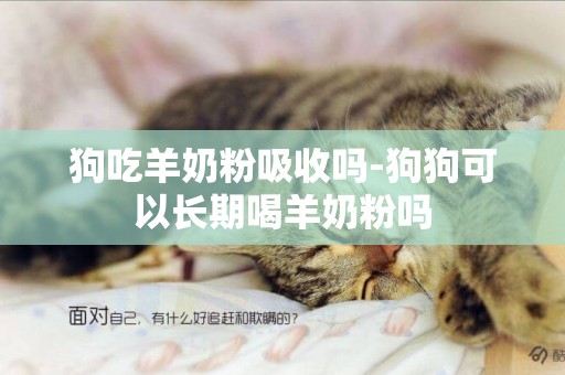 狗吃羊奶粉吸收嗎-狗狗可以長期喝羊奶粉嗎