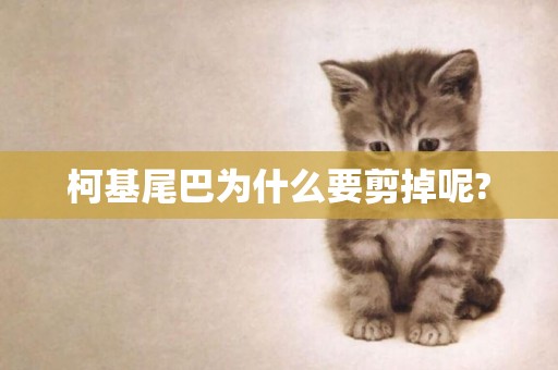 柯基尾巴為什么要剪掉呢?