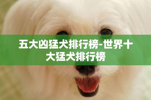 五大兇猛犬排行榜-世界十大猛犬排行榜
