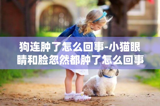 狗連腫了怎么回事-小貓眼睛和臉忽然都腫了怎么回事