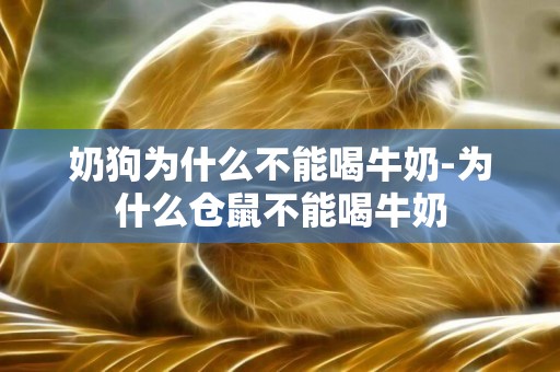 奶狗為什么不能喝牛奶-為什么倉鼠不能喝牛奶