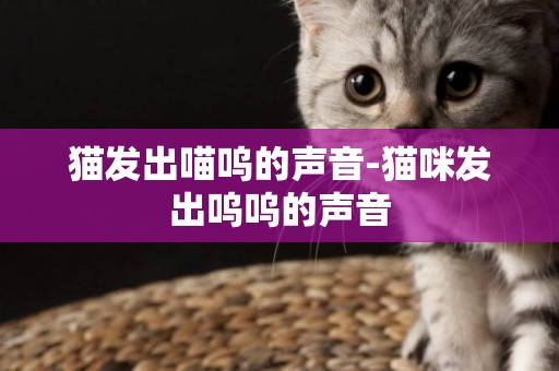 貓發出喵嗚的聲音-貓咪發出嗚嗚的聲音
