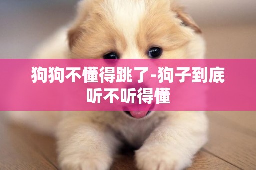 狗狗不懂得跳了-狗子到底聽不聽得懂