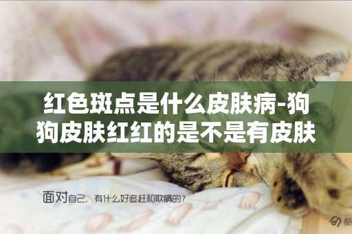 紅色斑點是什么皮膚病-狗狗皮膚紅紅的是不是有皮膚病