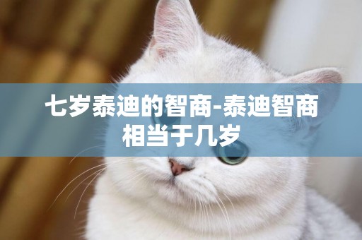 七歲泰迪的智商-泰迪智商相當于幾歲