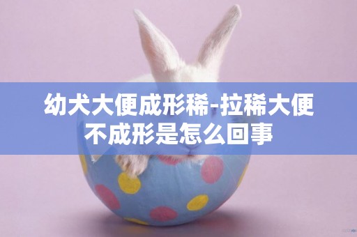 幼犬大便成形稀-拉稀大便不成形是怎么回事