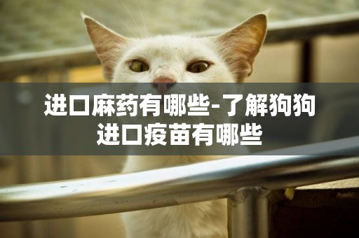 進口麻藥有哪些-了解狗狗進口疫苗有哪些