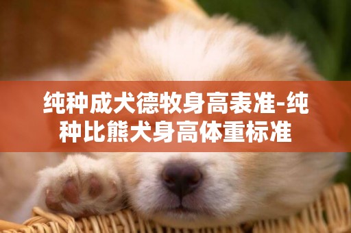 純種成犬德牧身高表準-純種比熊犬身高體重標準