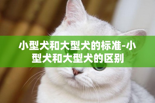 小型犬和大型犬的標準-小型犬和大型犬的區別