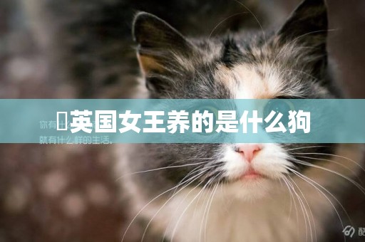 ?英國女王養的是什么狗 ?英國女王養的是什么狗