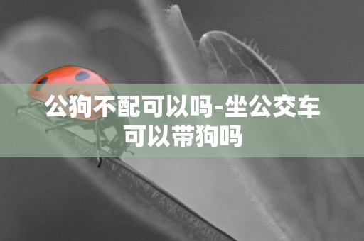 公狗不配可以嗎-坐公交車可以帶狗嗎