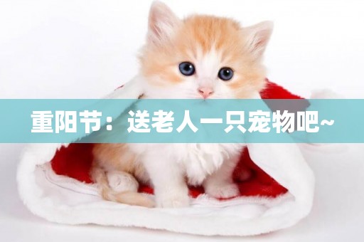 重陽節：送老人一只寵物吧~