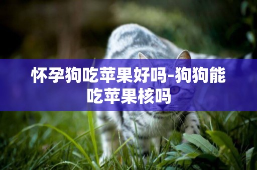 懷孕狗吃蘋果好嗎-狗狗能吃蘋果核嗎