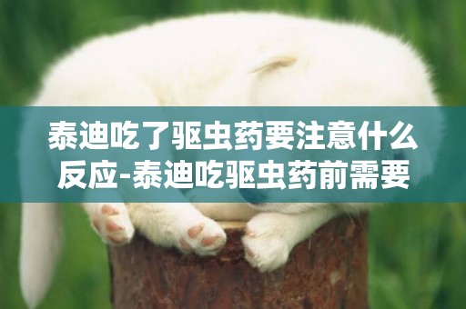 泰迪吃了驅蟲藥要注意什么反應-泰迪吃驅蟲藥前需要注意什么