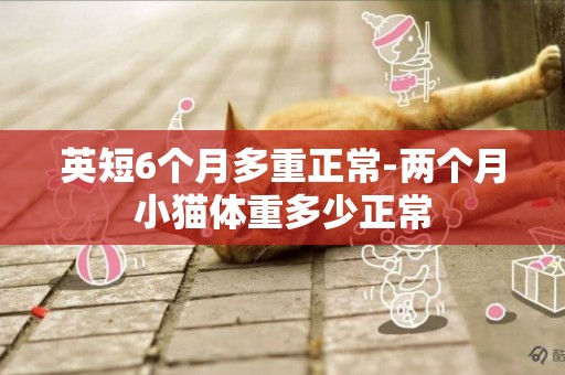 英短6個月多重正常-兩個月小貓體重多少正常