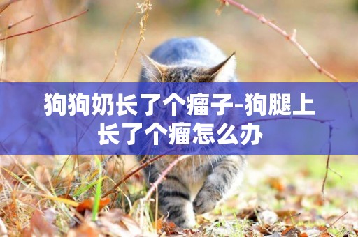 狗狗奶長了個瘤子-狗腿上長了個瘤怎么辦