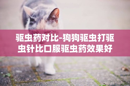 驅蟲藥對比-狗狗驅蟲打驅蟲針比口服驅蟲藥效果好