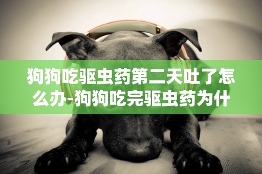 狗狗吃驅蟲藥第二天吐了怎么辦-狗狗吃完驅蟲藥為什么會嘔吐