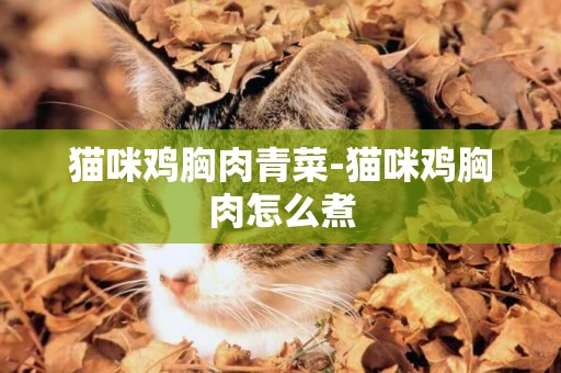 貓咪雞胸肉青菜-貓咪雞胸肉怎么煮