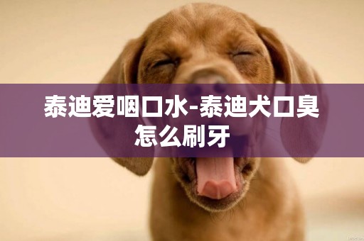泰迪愛咽口水-泰迪犬口臭怎么刷牙