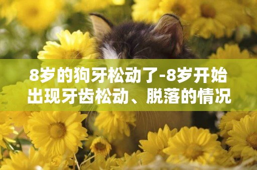 8歲的狗牙松動了-8歲開始出現牙齒松動、脫落的情況