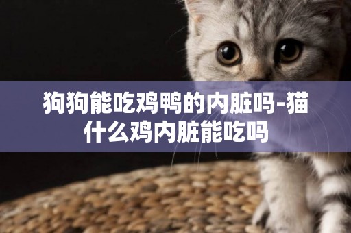狗狗能吃雞鴨的內臟嗎-貓什么雞內臟能吃嗎